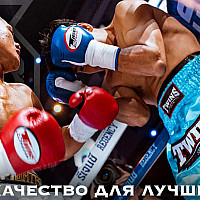 Твинс 2