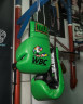 Сувенирные перчатки WBC by TITLE Boxing Jumbo Boxing GN
