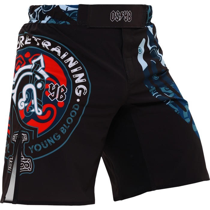 Шорты Hardcore Training Nordic Ornament Black/Gray