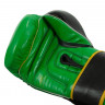 Тренировочные перчатки WBC by TITLE Boxing Training Boxing, GN/BK