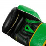 Тренировочные перчатки WBC by TITLE Boxing Training Boxing, BK/GN
