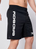Шорты спортивные тренировочные Bad Boy Pro Series 2.0 Light черный