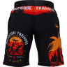 Тренировочные шорты Hardcore Training Voyage Black