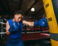 Тренировочные перчатки TITLE Boxing Dauntless Training Gloves, Blue-Black
