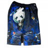 Шорты для MMA Rusco Sport Panda, детские